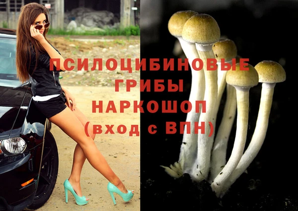 МДПВ Михайловка
