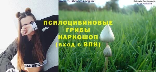 гидропоника Навашино