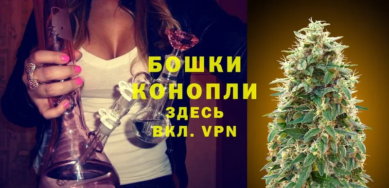 Бошки Шишки SATIVA & INDICA  закладка  Злынка 